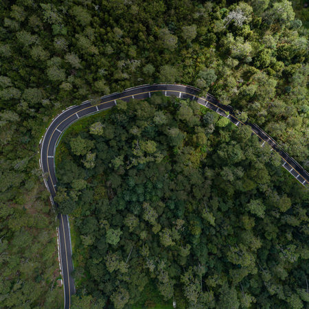 An aerial view of a curved mountain road between woods in the Zempoala lagoon in Mexicの写真素材