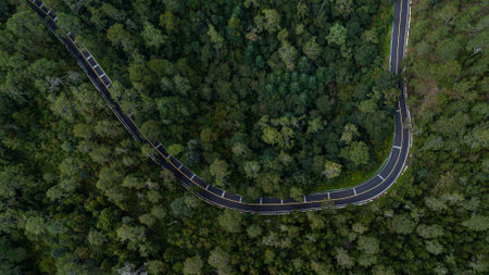 An aerial view of a curved mountain road between woods in the Zempoala lagoon in Mexico