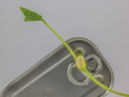 A closeup shot of green bean sprouts and canned food