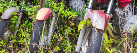 A closeup shot of abandoned motorcycles in a park