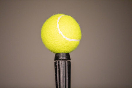 An elegant green tennis ball fixed in a black stick. Tennis ball balancing in single stick