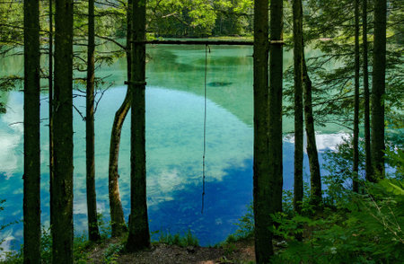 A clear green lake in a beautiful forestの写真素材