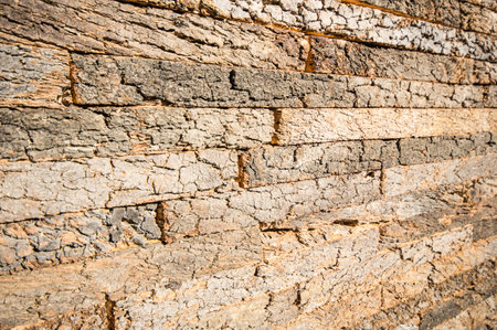 A closeup shot of a brown cork - Perfect for background