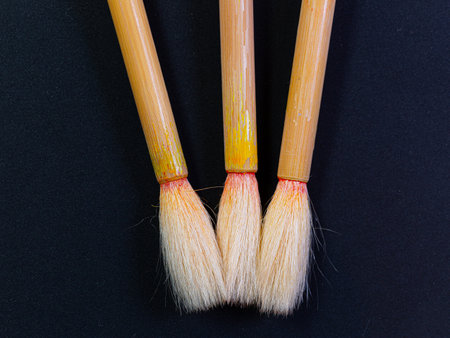 Close-up of the bristles of three paint brushes with bamboo grips on black backgroundの写真素材