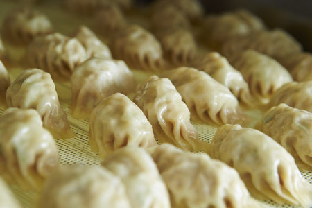 A selective focus of appetizing dumplings with fillingsの写真素材