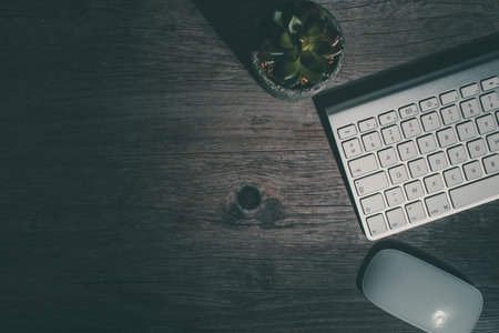A top view of a keyboard, mouse and a little potted houseplant on a deskの写真素材