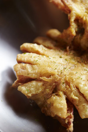 Fresh delicious pieces of crispy chicken on a blurred backgroundの写真素材