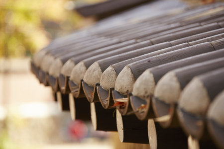 A macro shot of a traditional Korean roof, during daylightの写真素材