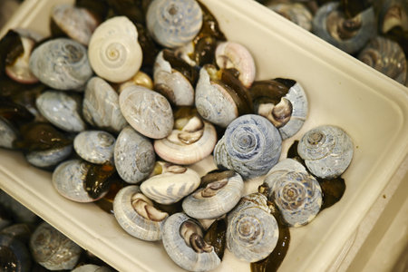 A closeup of fresh shellfish in the mark