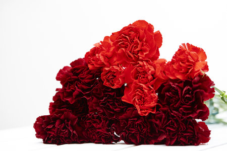 A closeup of beautiful red carnation flowers placed on a white surface