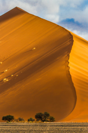 Sand dunes in the african Namib Desert on a sunny dayの写真素材