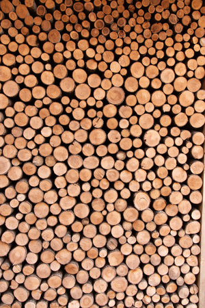 A vertical shot of logs stacked in a pileの写真素材