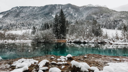 Lake Zelenci natue reserve in Triglav National park in Slovenia. Outdoor, snow, winter, scenery, no...