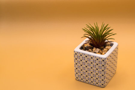 A plant with pebbles on a stone pot isolated on yellow backgroundの写真素材