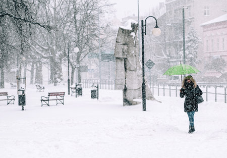A closeup shot of a woman holding umbrella in a park under heavy snowの写真素材