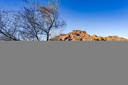 The image shows a red rock formation across the blue water of the Salt River under a blue sky with a tree silhouetted in the foregroundの写真素材
