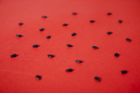 Many watermelon seeds on a red backgroundの写真素材