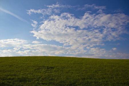 A vast meadow with green grass and a cloudy skyの写真素材