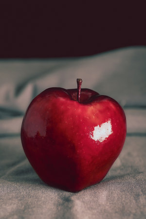 Red apple on a gray table cloth and black background. Minimalist image that looks like a painting. Simple still life of a single apple.の写真素材