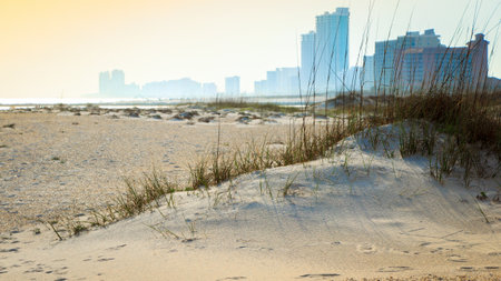 A beautiful shot of the sandy beach with the high buildings and skyscrapers on the backgroundの写真素材
