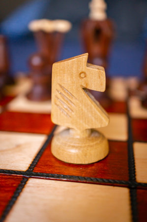 A shallow focus shot of a chess piece knightの写真素材
