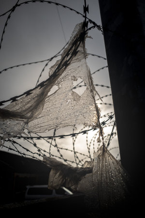 A grayscale of a plastic bag on barbed wires - concept of plastic polluatuの写真素材
