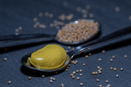 Two spoons with mustard and mustard seeds lie on a black stone table. They are surrounded by more mustard seeds with neutral background.の写真素材