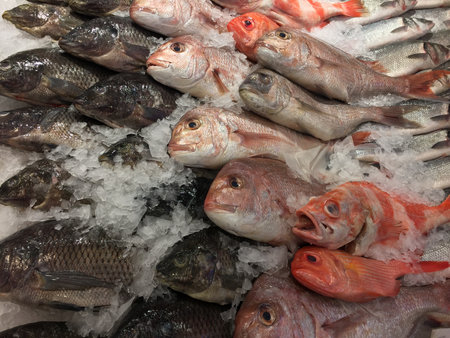 A closeup shot of fresh fishes on the ice at a fish market in Seattle, Washington
