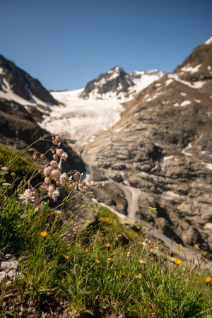 Glacier on a mountain summit in Austria in the sun.の写真素材