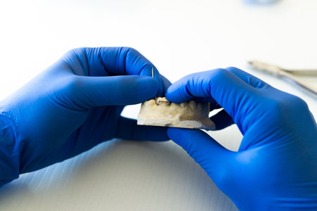 A closeup shot of the hands of a dentist working on prosthetic teethの写真素材