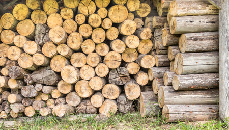 A closeup of stacked large logs
