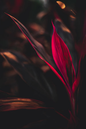 A vertical shot of the red leaves of a plant on an abstract background. Perfect for wallpaperの写真素材