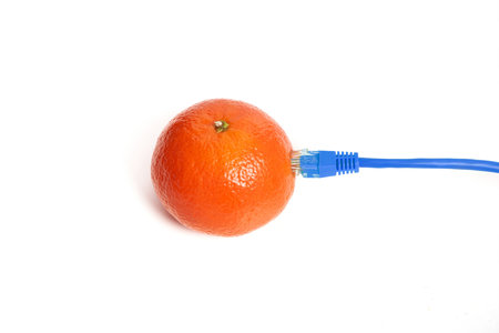A closeup shot of tangerine with a network cable connected to it