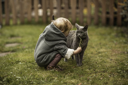 A little child playing with a cute grey cat on the grass-covered lawn in the yardの写真素材
