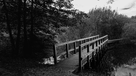Image of the old bridge taken in monochrome style