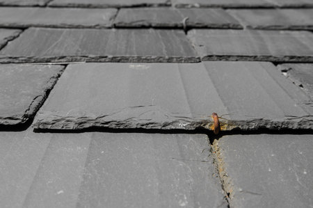 A closeup shot of gray tiles on a roofの写真素材