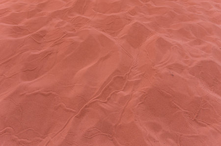 The red sand of Wadi Rum Protected Desert under the sunlight in Jordan