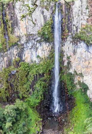 A vertical shot of abseiling at the waterfallの写真素材