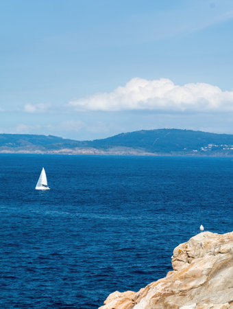 A vertical shot of a sailboat in the blue sea and a seagull on a cliff on the shoreの写真素材