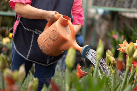 A Hispanic female gardener watering flowers in a nurseryの写真素材