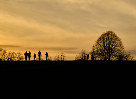 A silhouette of a group of people walking along a park against a golden sunset sky backgroundの写真素材