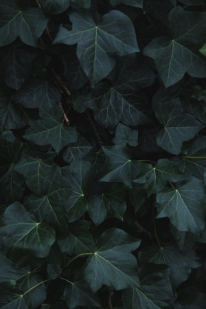 A vertical closeup shot of plants with green leavesの写真素材