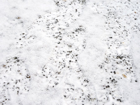 Footprints in the snow after people walking medium shotの写真素材