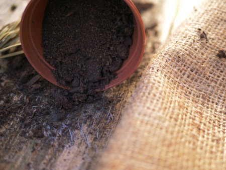 Plant pot with soil spilling out on rustic background close up shot