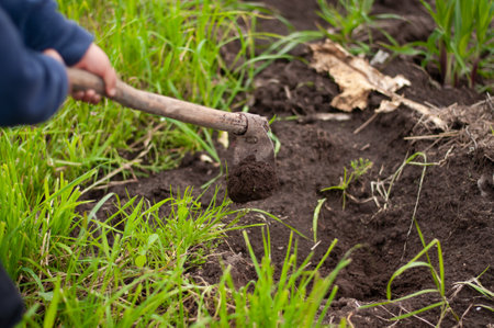 A high angle shot of a child playing with soil in the garden with a toolの写真素材