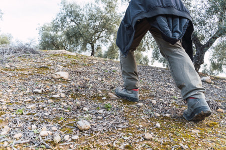 Stock photo of unrecognized person walking in the forest.の写真素材
