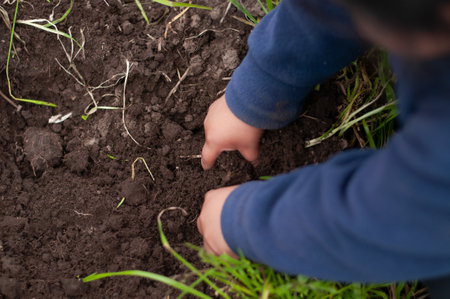 A high angle shot of a child playing with soil in the gardenの写真素材
