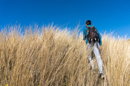 Stock photo of unrecognized person walking in the countryside and wearing backpack.の写真素材