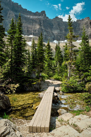 A vertical shot of mountains and pine trees under a blue cloudy sky on a sunny day
