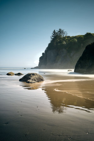 A vertical shot of the ruby beach at the national park, USAの写真素材